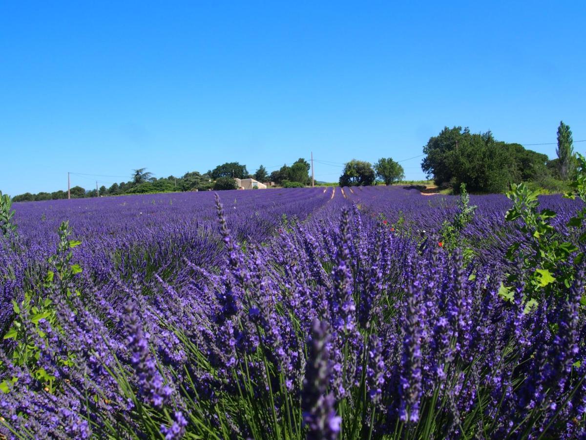 La Vita Dolce, Luberon Grambois Bagian luar foto